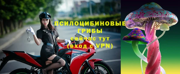 СК Волоколамск
