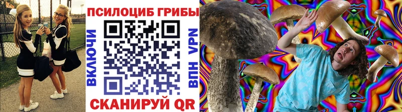 Псилоцибиновые грибы мицелий Инта